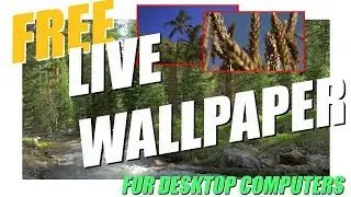 LIVE Video Wallpaper: Windows 10, 8, 7 Desktop and Laptop