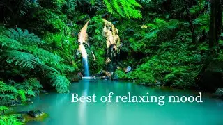 SoftMusic Beautiful Nature for Relaxation,Make You feel Good