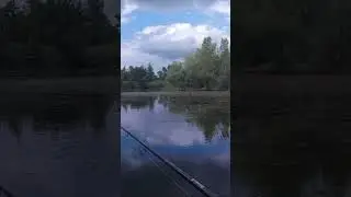 Цирковая щука 🔥  