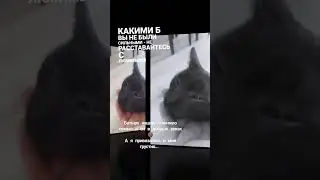 #Батыр #малыш #шоколадный 🟤