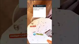 БУДНИ РОБИНЗОНА КРУЗО 