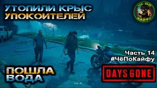 Days Gone Часть 14. Утопили крыс. Покарали Карлоса. Собираемся в путь. Прощание с бухарем.