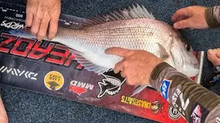 Queens beach snapper session! 🎣