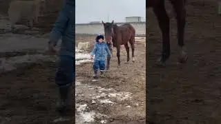 Атқа отыру
