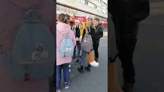 Тыц тыц