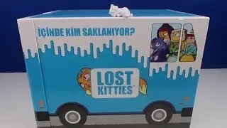 lost kities sevimli kediler saklambaç oynuyor? Hadi bulalım şunları! Bidünya Oyuncak