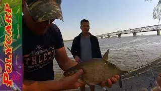 FEEDER FISHING!!!!ЛОВЛЯ ЛЕЩА НА ФИДЕР НА ДНЕПРЕ\\ПОДРОСТКИ ЛУПАСЯЛ ЛЕЩА