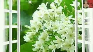 Арина и Русский Размер, Где-то ...🌺🌺🌺