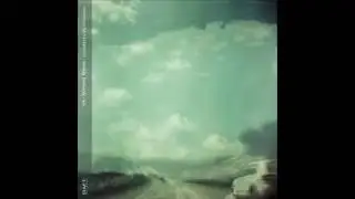 Xenoscapes-Patras Eucalyptus
