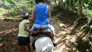 DSC 0200