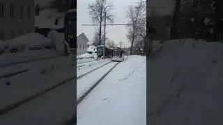 Пермские трамваи с низким полом. 