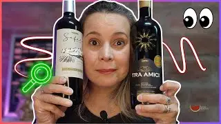 O Que OBSERVAR Na Hora de COMPRAR VINHO