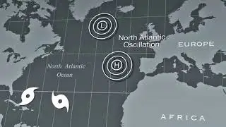 Hurricanes Examined