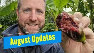 Plot tour and storm damage status