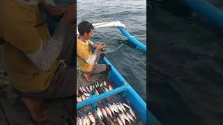 Mancing 2 Jam cari lauk, malah dapat jackpot