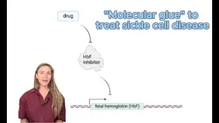Treating sickle cell disease with 