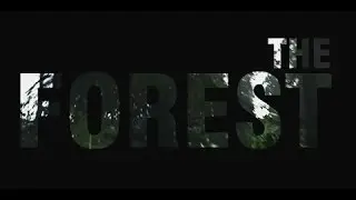 The Forest#Падение самолёта и первый ДОМ!!!