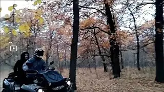 Энгельс. Тинь зинь.