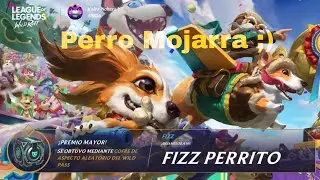 🐕 Perro Mojarra te deja traumado|Kalex-Nohara|Diamanco ;)