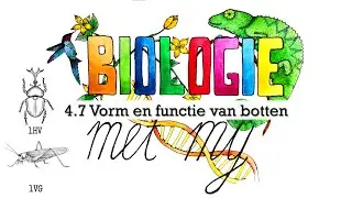 1HVG - 4.7 Vorm en functie van botten