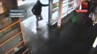 В Подмосковье расстреляли вора в законе