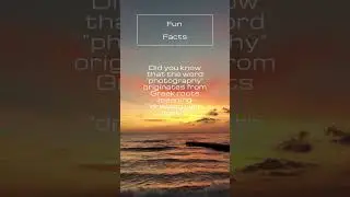 Fascinating Facts About Photography: From Heliography to Digital Cameras