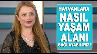 Hayvanlara nasıl yaşam alanı sağlayabiliriz? / Özgün Öztürk anlatıyor