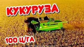 УБОРКА КУКУРУЗЫ ✅ ЗАВОРАЖИВАЮЩЕЕ ЗРЕЛИЩЕ …
