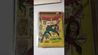 Sorprendente Hombre Araña y X-Men