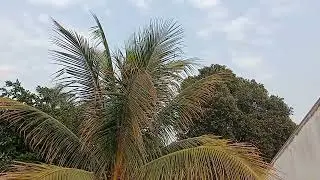 Bom dia Amigos #Um Abençoado Domingo para todos
