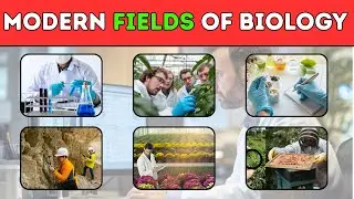 Modern Fields of Biology | Biology | Brain Test