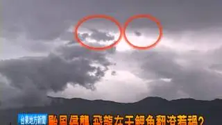 120829颱風肆虐 飛龍在天鯉魚翻滾惹禍