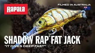 Finesse Fishing with the Shadow Rap® Fat Jack | Rapala®