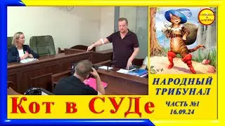 1 Котов в СУДе- Народный ТРИБУНАЛ, часть 1- от 16.09.24