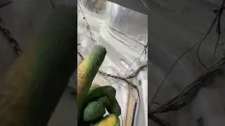 #приора