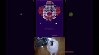 Joker Level 2 Ft. Dog's Epic Reaction 