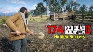 174 Hidden Secrets That Players Missed in 1st Playthrough - RDR2