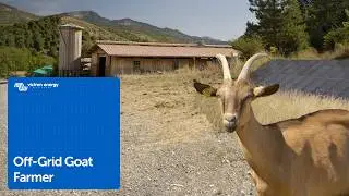 How this goat farmer uses solar up in the French Alps