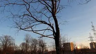 Санкт-Петербург 12 декабря мороз и Солнце