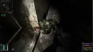S.T.A.L.K.E.R. 