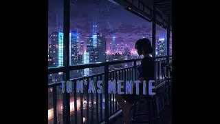 TU M'AS MENTIE