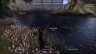 FISHING IN ELDER SCROLLS ONLINE (ESO FOR BEGINNERS)