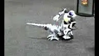 x-rated robots