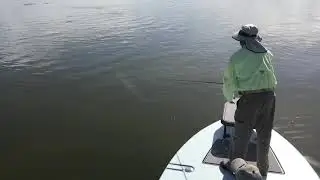 Mosquito Lagoon double hook up