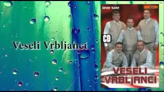 Veseli Vrbljanci - Direktor - (Audio 2006)