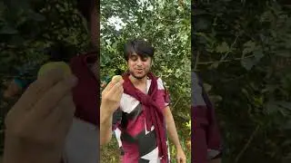 FRESH GUAVA IN THE VILLAGE
