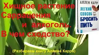 Хищное растение Саррацения и алкоголь. Аллен Карр. Часть 4