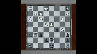 Double Bishops Attack in Amazon Attack Variant