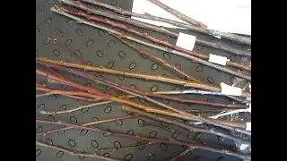 Распаковка посылки из агрофирмы "Росток" 2023 !!!