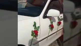 Nirmal limo luxury land 99150-77156=99154-51754